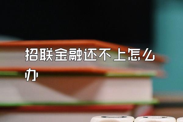 招联金融还不上怎么办