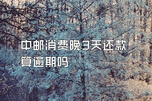 中邮消费晚3天还款算逾期吗