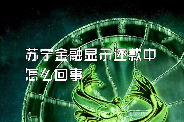 苏宁金融显示还款中怎么回事