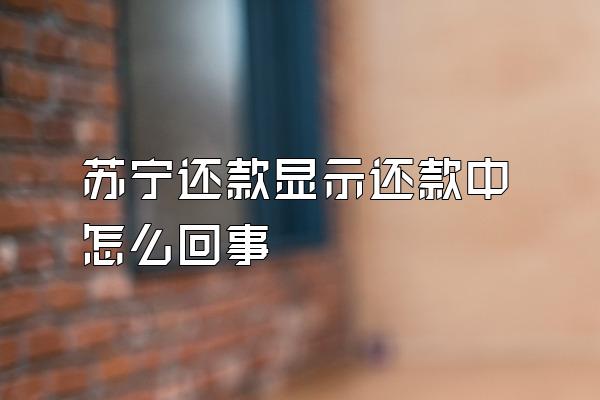 苏宁还款显示还款中怎么回事