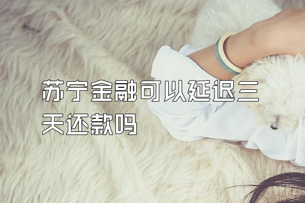 苏宁金融可以延迟三天还款吗