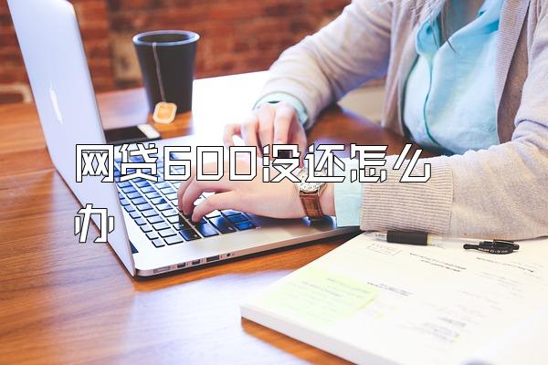 网贷600没还怎么办