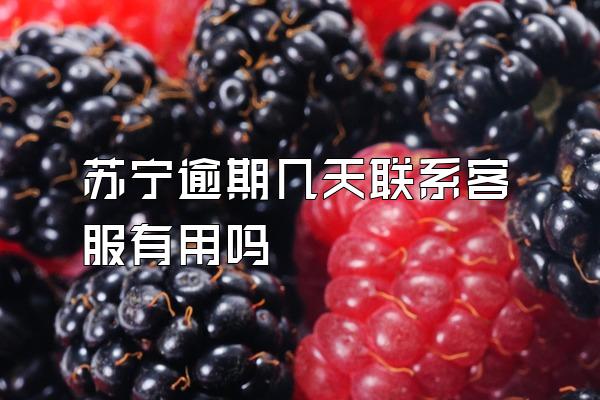 苏宁逾期几天联系客服有用吗