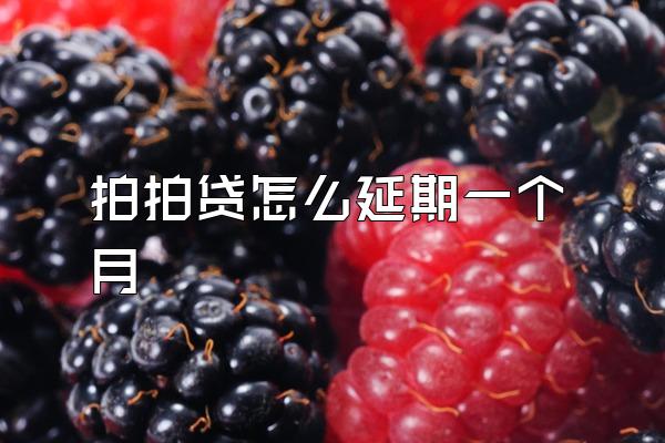 拍拍贷怎么延期一个月