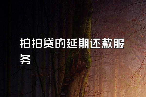 拍拍贷的延期还款服务