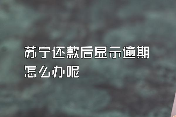 苏宁还款后显示逾期怎么办呢