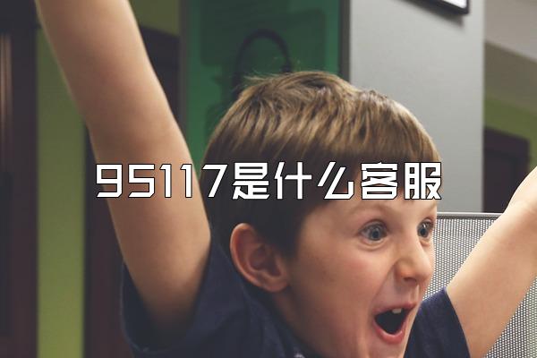 95117是什么客服