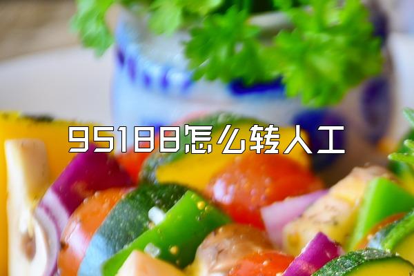 95188怎么转人工