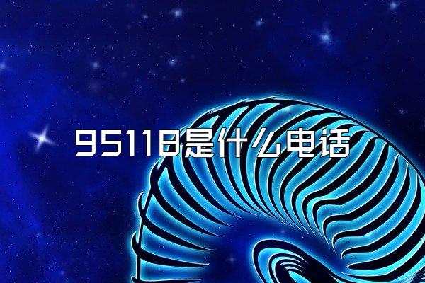 95118是什么电话