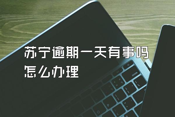 苏宁逾期一天有事吗怎么办理