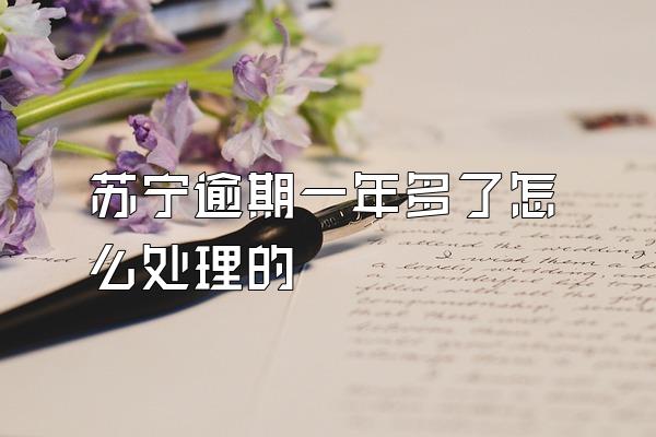 苏宁逾期一年多了怎么处理的