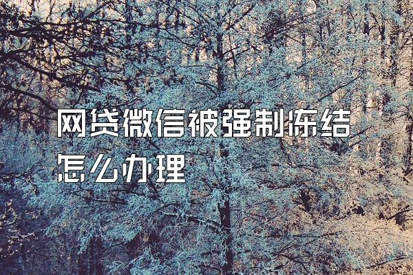 网贷微信被强制冻结怎么办理