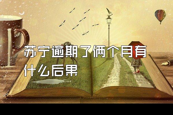 苏宁逾期了俩个月有什么后果