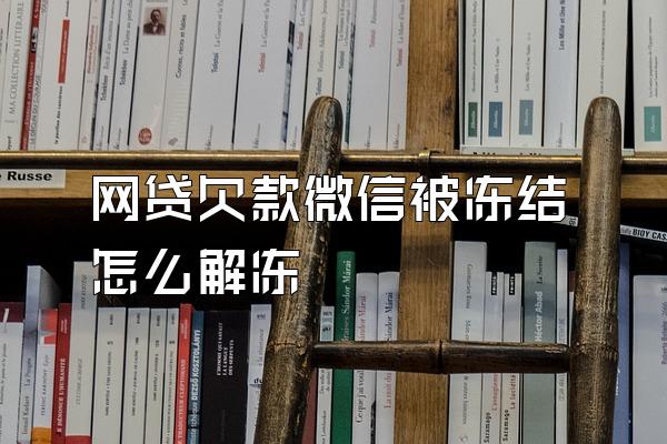 网贷欠款微信被冻结怎么解冻