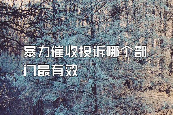 暴力催收投诉哪个部门最有效