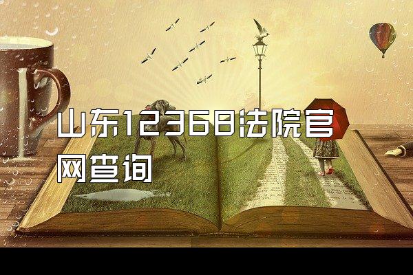 山东12368法院官网查询