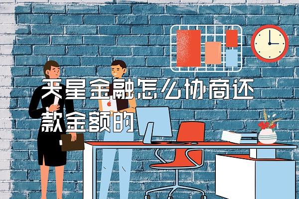 天星金融怎么协商还款金额的