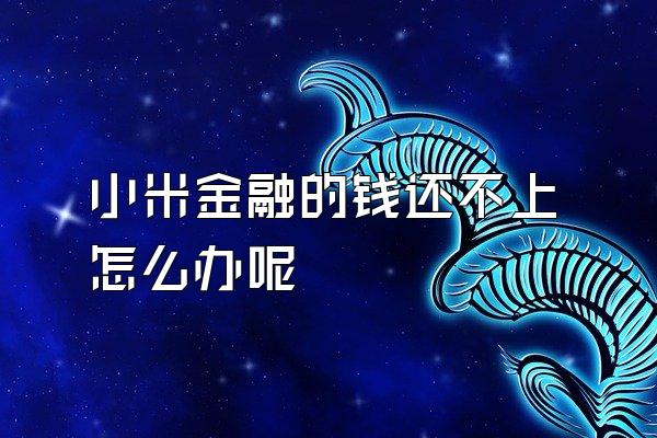 小米金融的钱还不上怎么办呢