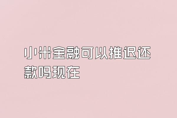 小米金融可以推迟还款吗现在