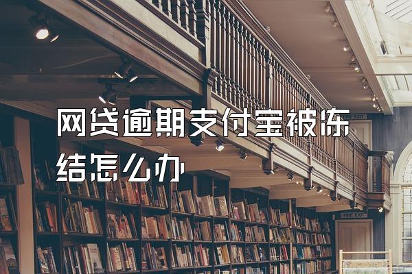网贷逾期支付宝被冻结怎么办