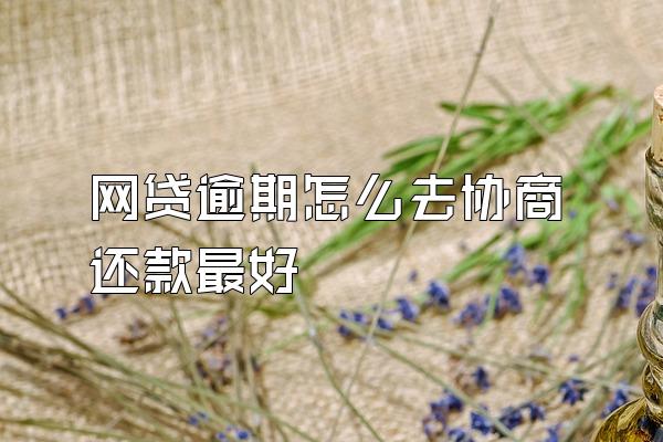 网贷逾期怎么去协商还款最好