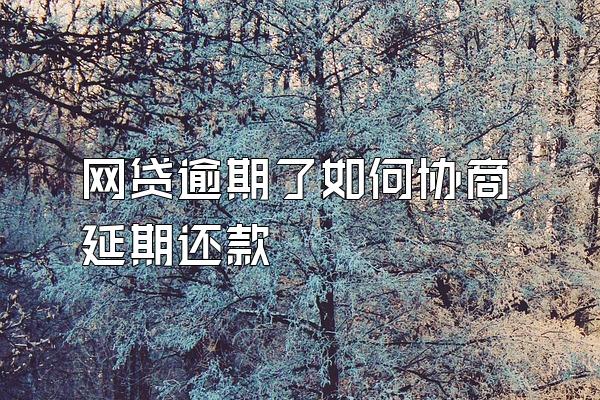 网贷逾期了如何协商延期还款