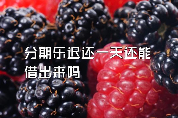 分期乐迟还一天还能借出来吗