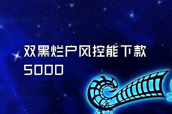 双黑烂户风控能下款5000