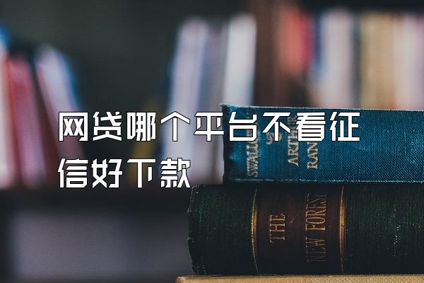 网贷哪个平台不看征信好下款