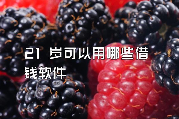 21 岁可以用哪些借钱软件