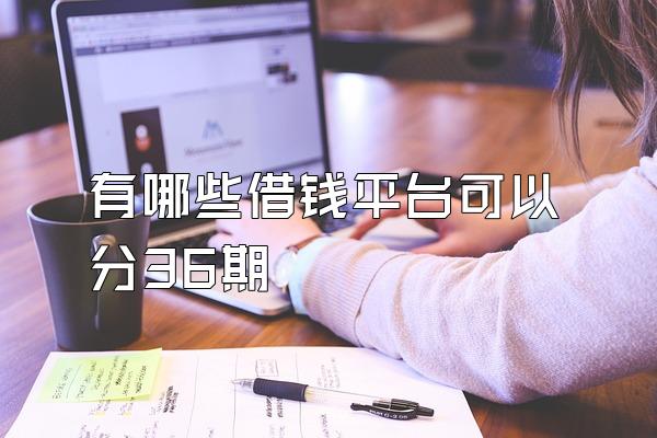 有哪些借钱平台可以分36期
