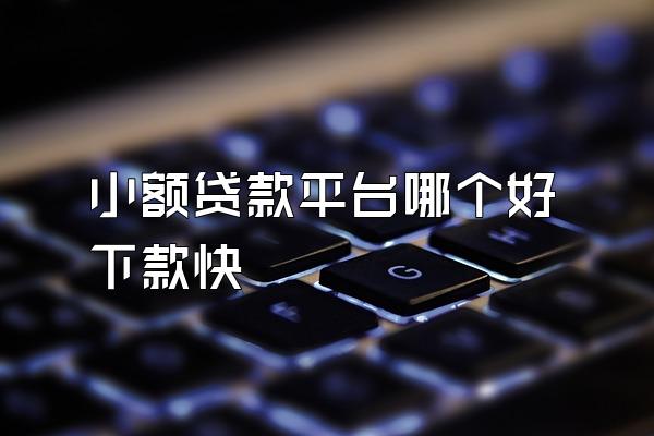 小额贷款平台哪个好下款快