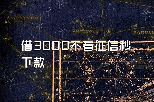借3000不看征信秒下款
