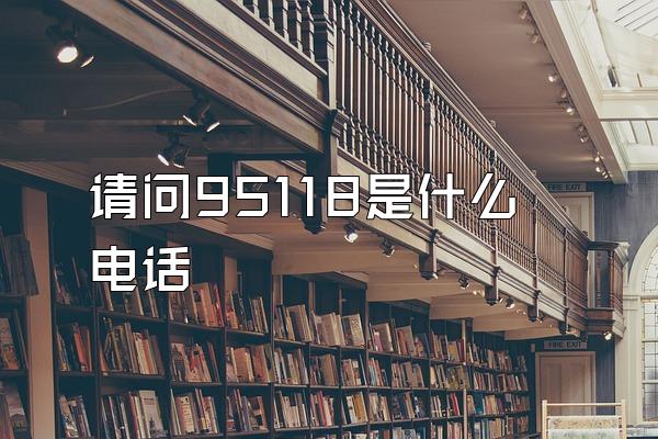 请问95118是什么电话
