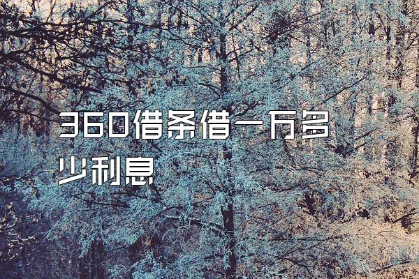360借条借一万多少利息