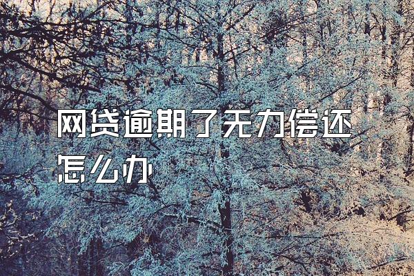 网贷逾期了无力偿还怎么办