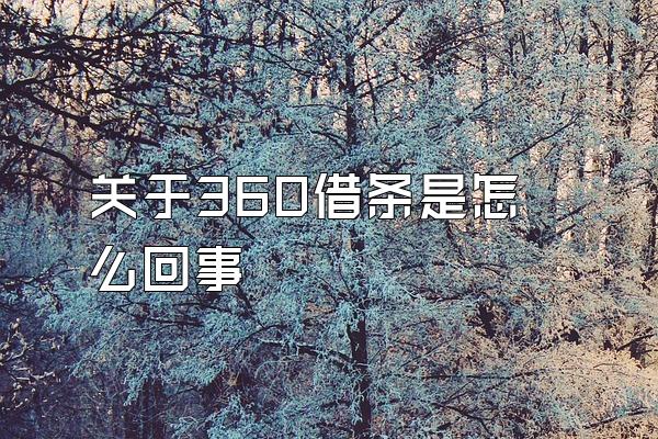 关于360借条是怎么回事