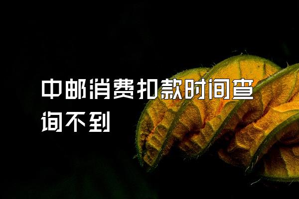 中邮消费扣款时间查询不到
