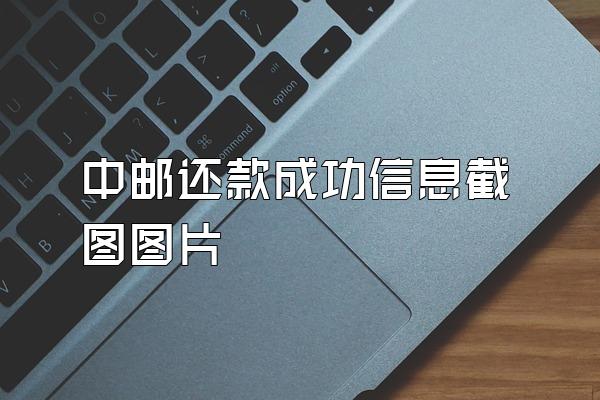 中邮还款成功信息截图图片