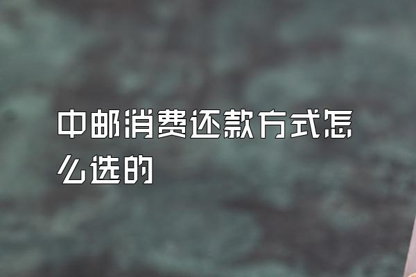 中邮消费还款方式怎么选的