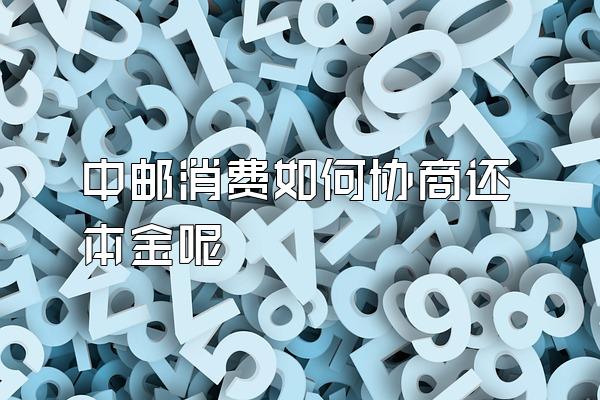 中邮消费如何协商还本金呢