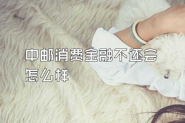 中邮消费金融不还会怎么样
