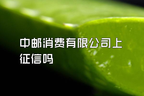 中邮消费有限公司上征信吗