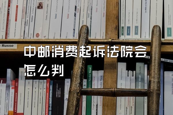 中邮消费起诉法院会怎么判