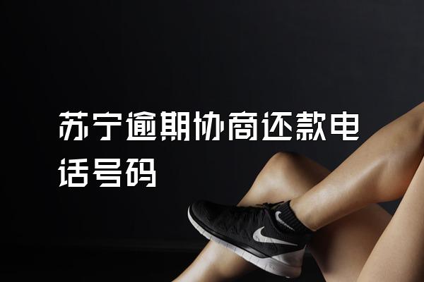 苏宁逾期协商还款电话号码