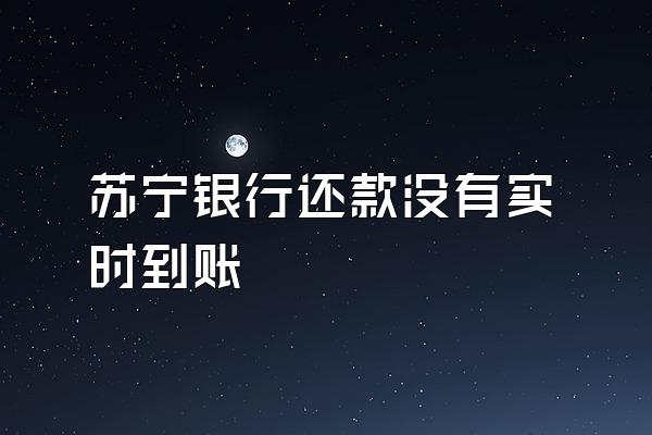 苏宁银行还款没有实时到账