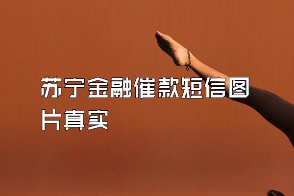 苏宁金融催款短信图片真实