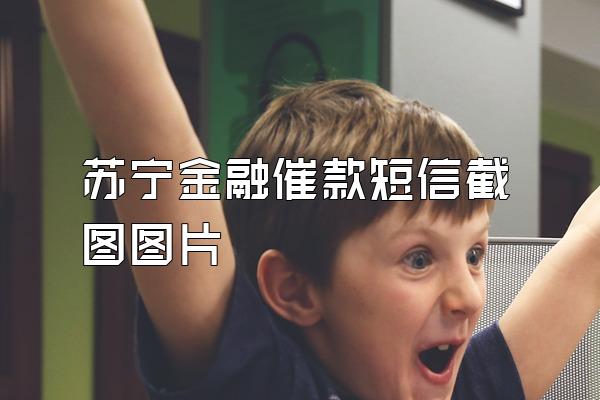 苏宁金融催款短信截图图片