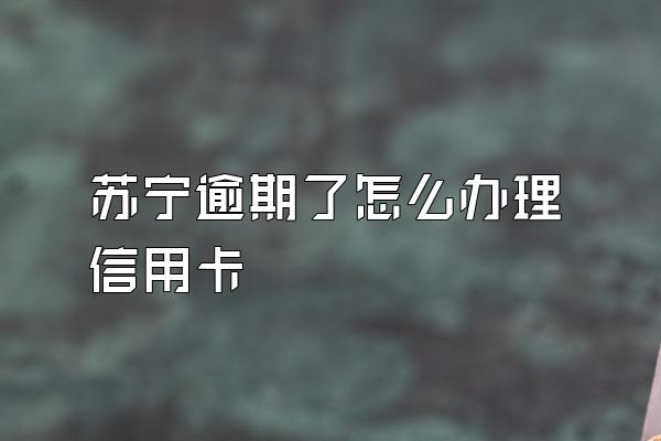 苏宁逾期了怎么办理信用卡