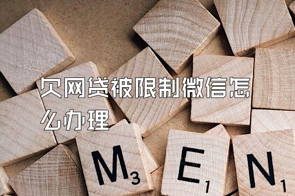 欠网贷被限制微信怎么办理